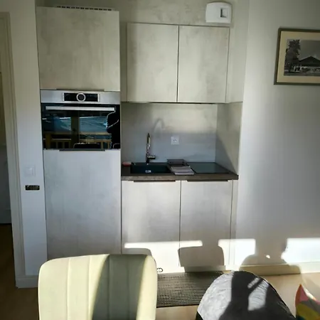 Apartment Or Near The Slopes *